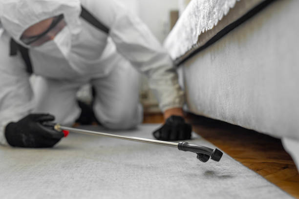 Professional Termite Control technician working in Gonzales, CA