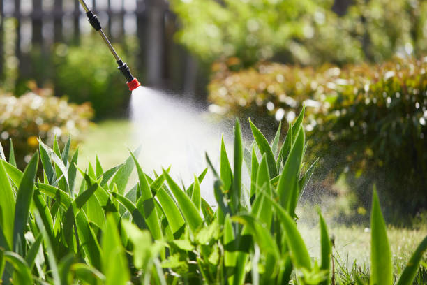 24/7 Emergency Termite Control experts in Gonzales, CA